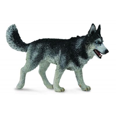 Figurina caine husky siberian l collecta - okecol88707l
