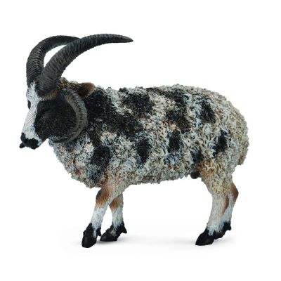 Figurina jacob sheep l collecta - okecol88728l