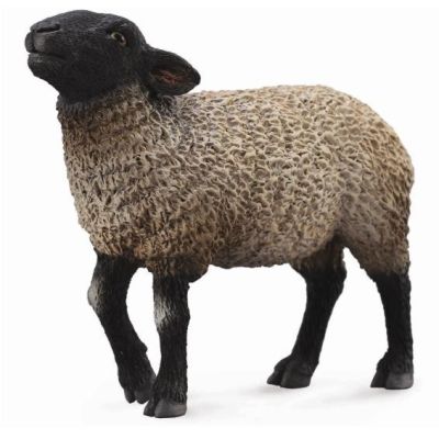 Figurina oaie suffolk m collecta - okecol88636m