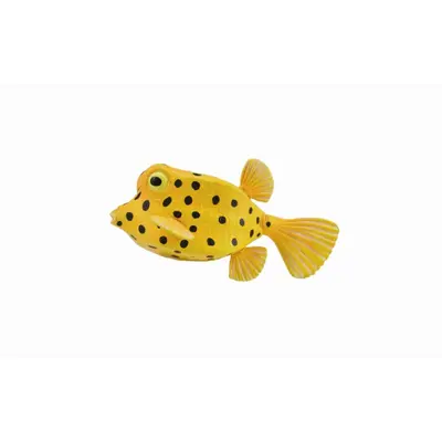 Figurina peste cubicus boxfish s collecta - okecol88788s