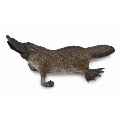 Figurina platypus m collecta - okecol88795m