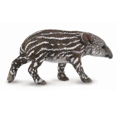 Figurina pui de tapir baird s collecta - okecol88597s