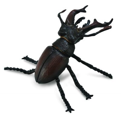 Figurina radasca mascul m collecta - okecol88703m