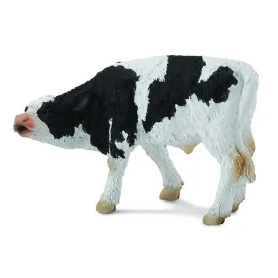 Friesian pui - collecta - okecol88484s