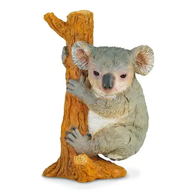 Koala - collecta - okecol88356m