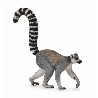 Lemur cu coada-inel - collecta - okecol88831m