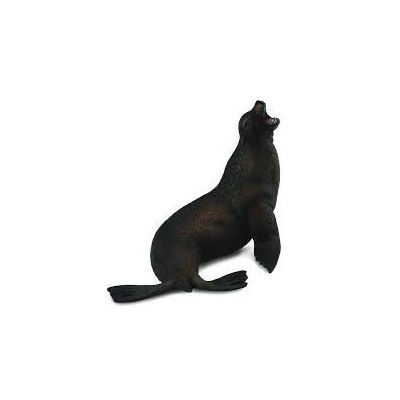 Leu de mare- collecta - okecol88454l