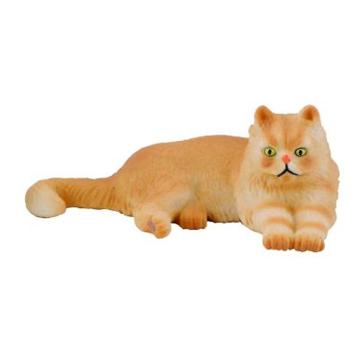 Pisica persana - collecta - okecol88330s