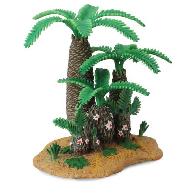Plantele monanthesia si cycadeoidea - collecta - okecol89403cb