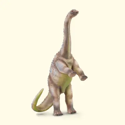 Rhoetosaurus  - collecta - okecol88315l