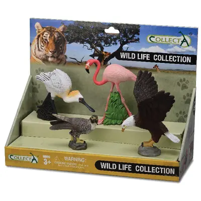 Set 4 buc animale salbatice - collecta - okecol89810lpp
