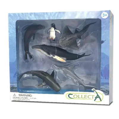 Set 6 figurine viata marina - collecta - okecol84050wb