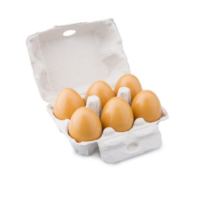 Carton cu 6 oua nc10596