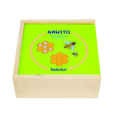 Joc din lemn ciclul vietii - okebel11570