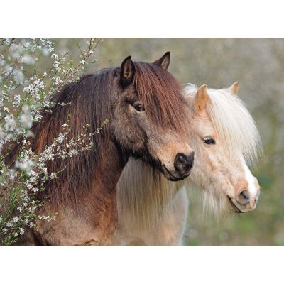 Puzzle Ponei, 150 Piese ARTRVSPC12986