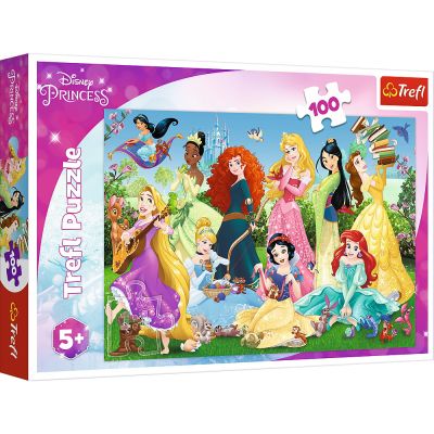 PUZZLE 100 PRINTESELE SARMANTE VIV16417
