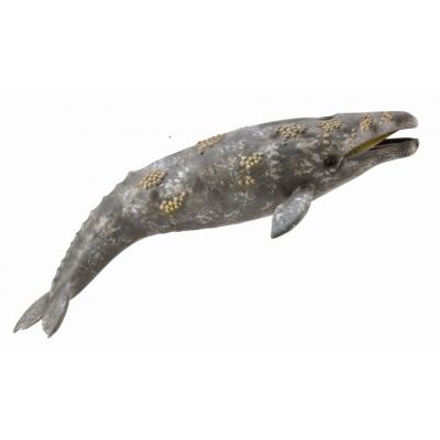 Balena gri - collecta - okecol88836xl