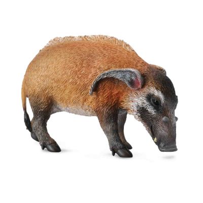 Porc rosu collecta - okecol88554l