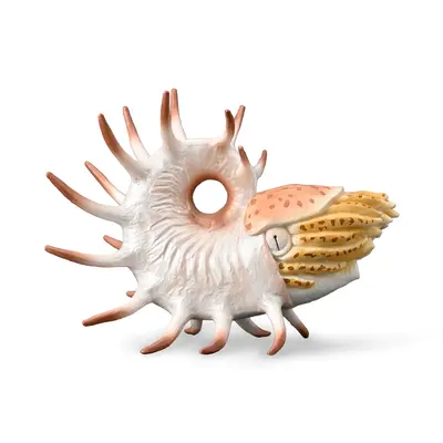 Figurina pictata manual cooperoceras - okecol88946xl