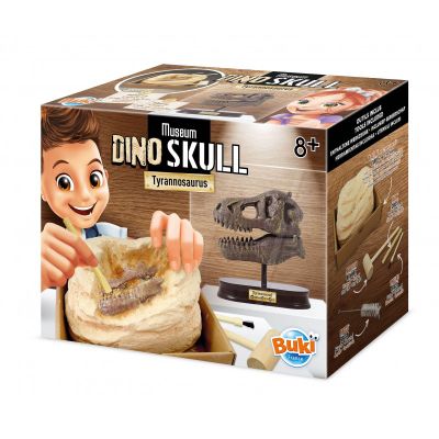 Kit de sapat - craniu t-rex de muzeu bk2130