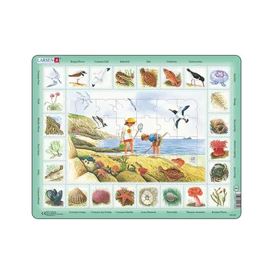 Puzzle maxi Pe plaja, orientare tip vedere, 48 de piese, engleza, Larsen KDGLS-NA2-GB