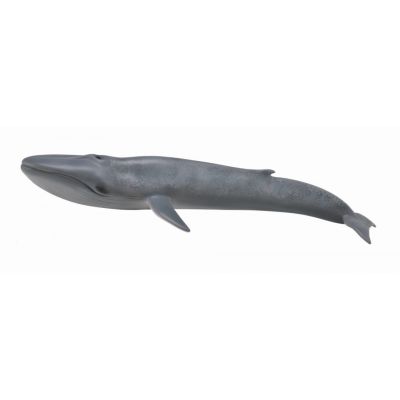 Balena albastra - collecta - okecol88834xl