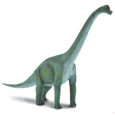 Figurina brachiosaurus collecta - okecol88121l