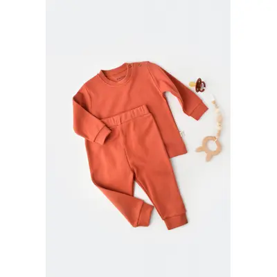 Set bluzita cu maneca lunga si panataloni lungi - bumbac organic 100% - Scortisoara, Baby Cosy (Marime: 3-6 Luni) JEMBC-CSY3029-3