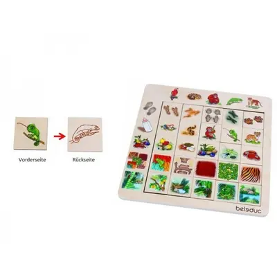 Asociere si sortare jungla - okebel11070