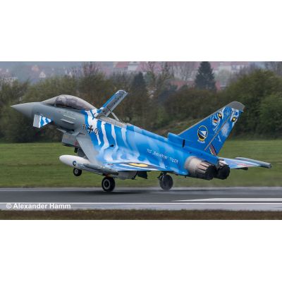 Model Set Eurofighter Typhoon "Bavarian Tiger 2021" VRNRV63818