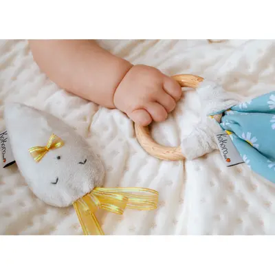 Jucarie senzoriala 3 in 1 &ndash; kokoro edeediko2021001