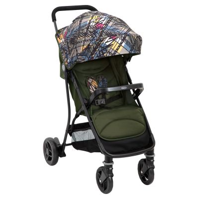 Carucior Graco Breaze Lite 2 Couture Fern ERFG6DU899CFREU