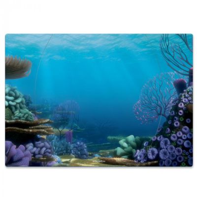 Georello Teatru Finding Dory ERFQ02327