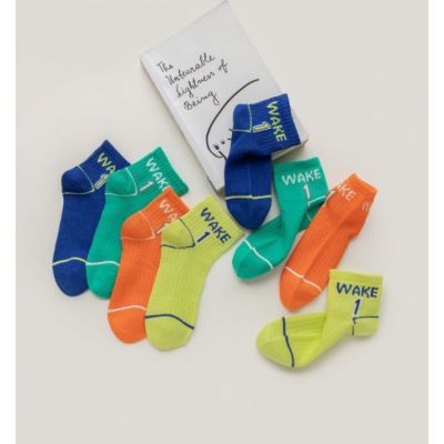 Set 5 perechi de sosetele pentru baietei - Wake LISKK2022-165-C24