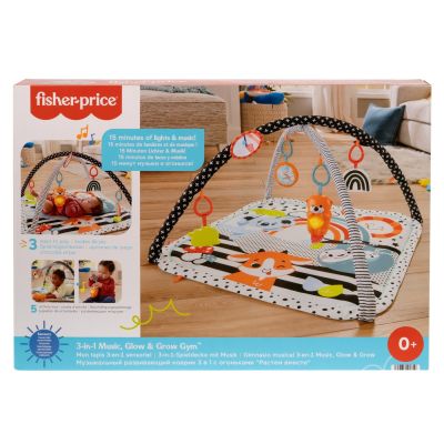 FISHER PRICE SALTEA MUZICALA 3 IN 1 CU CENTRU DE ACTIVITATI VIVMTHBP41