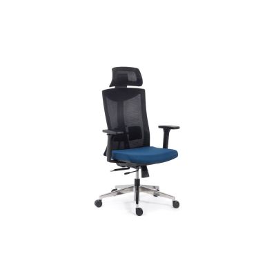 Scaun ergonomic syyt 9501, mesh, suport lombar si tetiera reglabila, sistem inclinare, cotiere ajustabile, 120 kg drm9648