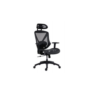 Scaun ergonomic cu tetiera aero pro drm9645