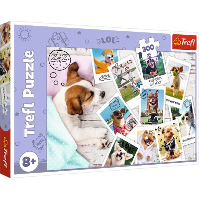 PUZZLE TREFL 300 POZE DIN VACANTA VIV23003