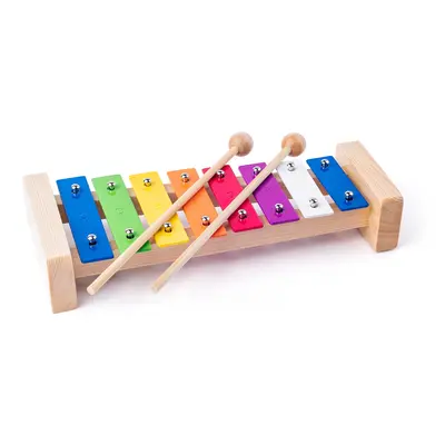 Jucarie din lemn - Xilofon metalic TSG91892