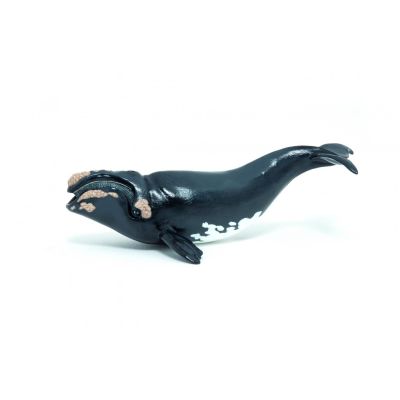PAPO FIGURINA BALENA VIVPapo56057