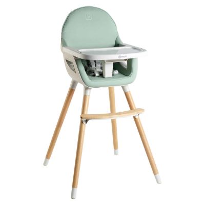 Babygo - scaun de masa transformabil scandi green bbbbgo-5452