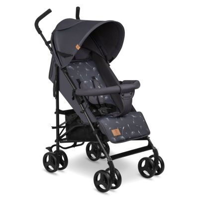 Lionelo - Carucior sport Elia, Cu husa de picioare, Cu plasa de tantari, Conform cu standardul european de securitate EN1888-1, Gri inchis BYNLO-ELIA_GREY_WHITE