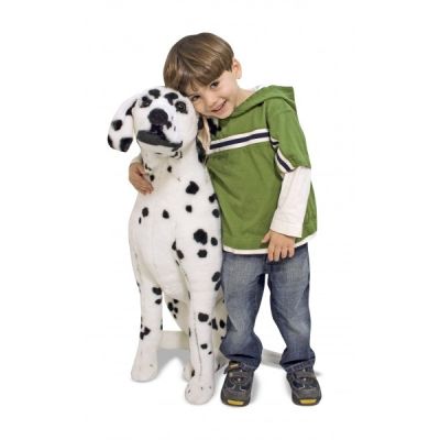 Catel dalmatian din plus - okemd2110