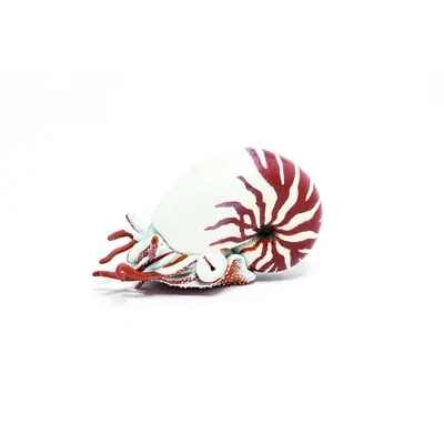 PAPO FIGURINA NAUTILUS VIVPapo56061