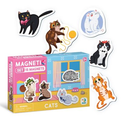 Set magneti - pisicute