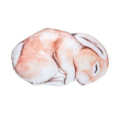 Perna - Iepure Pjb482895