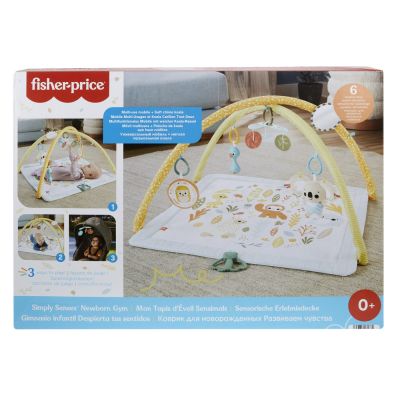 FISHER PRICE SALTELUTA DE ACTIVITATI VIVMTHRB15