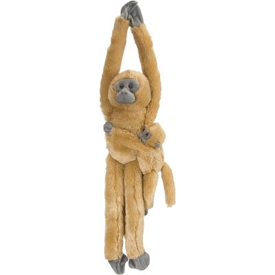 Maimuta care se agata com langur cu pui wr15262