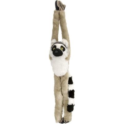 Maimuta care se agata lemur wr15261