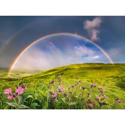 Ravensburger - Puzzle curcubeu 1500 piese ARTRVSPA00800